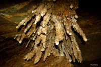 Кейвинг (снеплинг) туры Израиль - Пещера Колонель