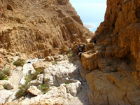 Canyoning (snapling) tours in Israel - Canyon Tor