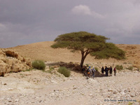 tours israel