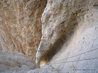 tours israel