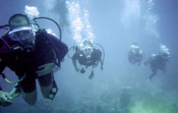 diving israel