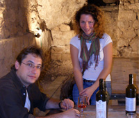 wine tours israel